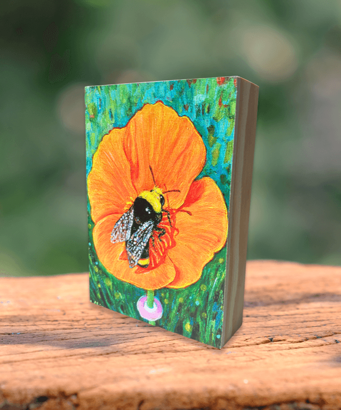 Bumblebee on Red Poppies