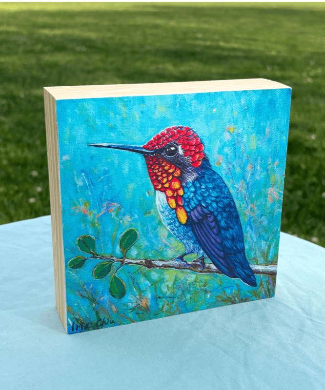 The Bee Hummingbird