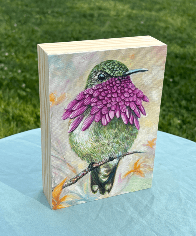 Wine-throated Hummingbird