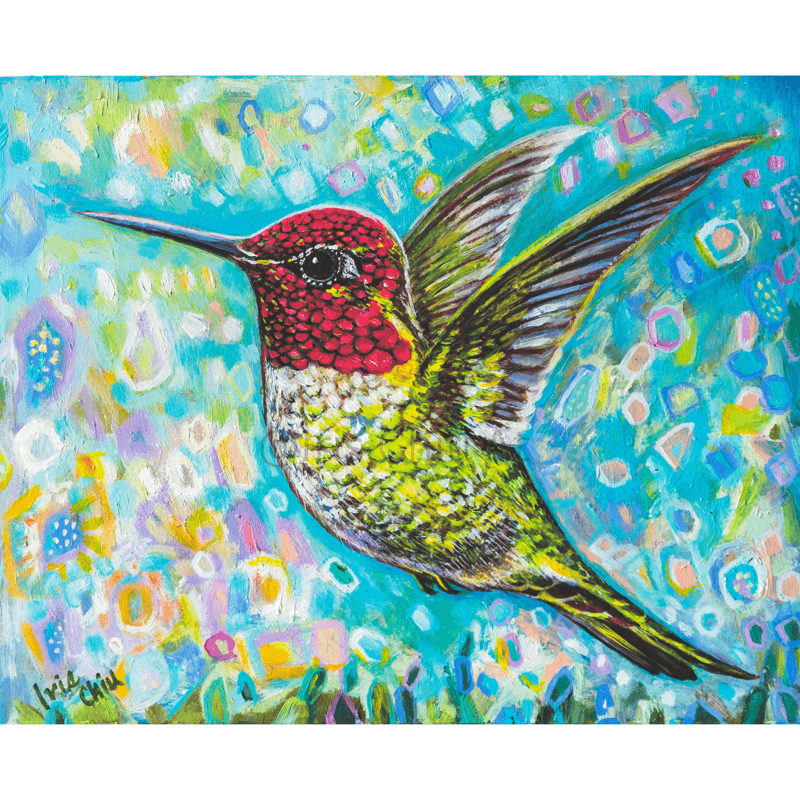 Anna's Hummingbird (Male) Flying