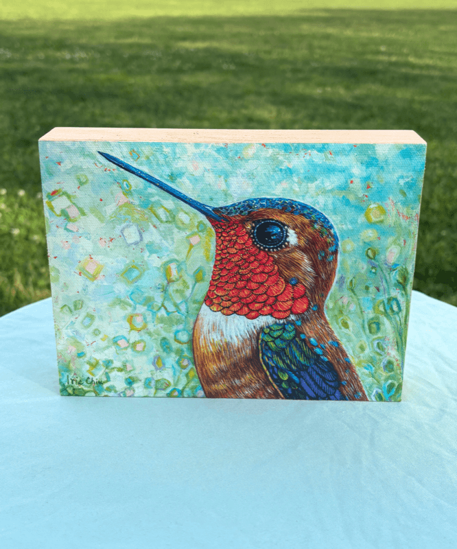 Allen's Hummingbird (Male) Portrait