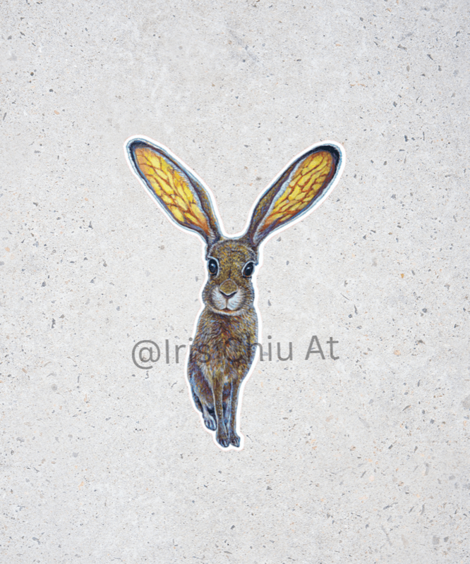 Fine Art Sticker - Jackrabbit