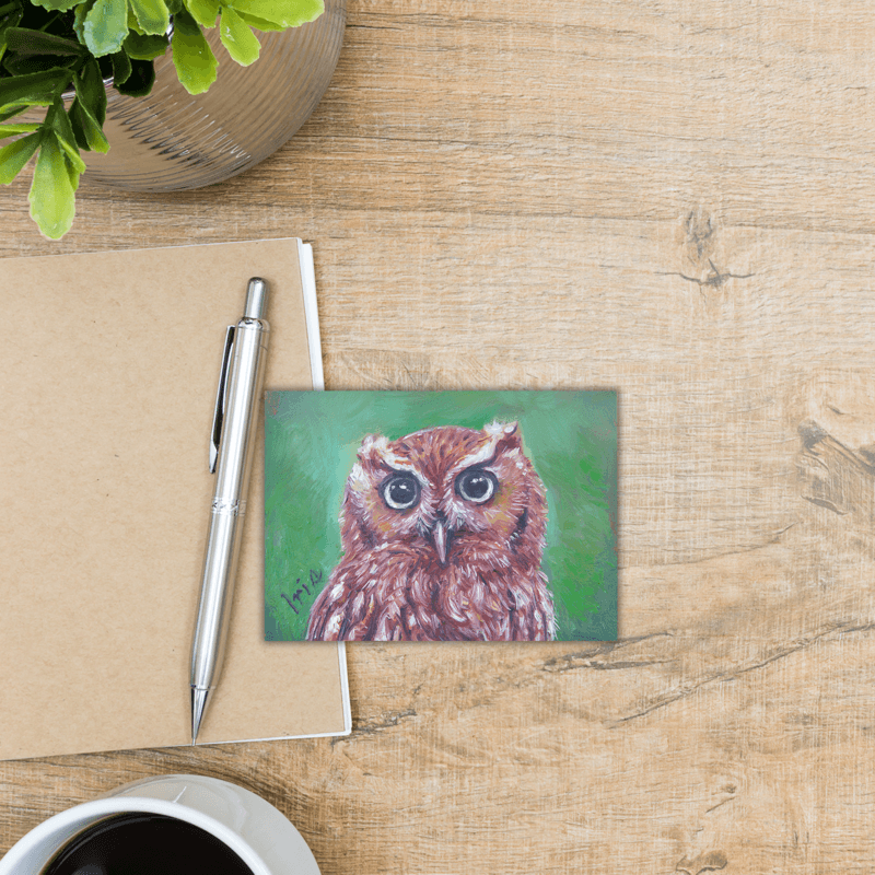 Flammulated Owl - Giclée Print