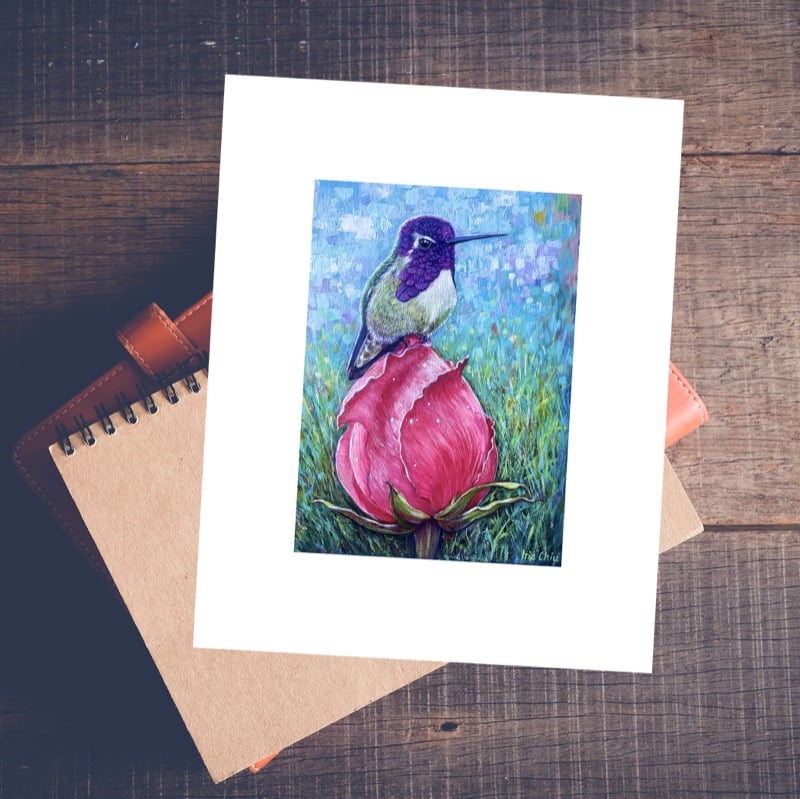 Hummingbird on Rose - Giclée Print