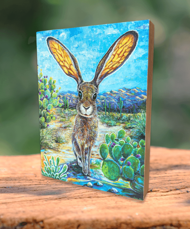 Jackrabbit in Desert