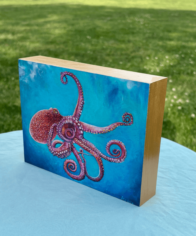 Octopus in Ocean
