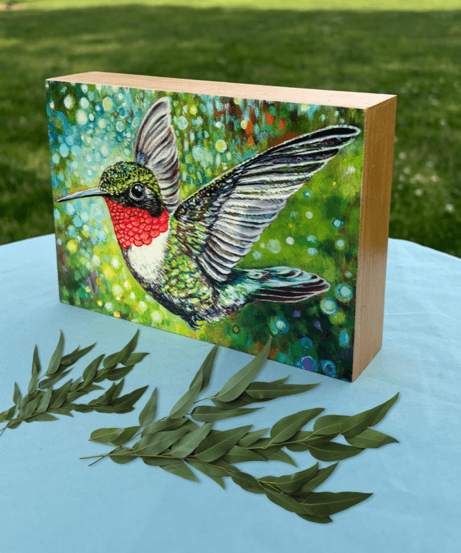 Ruby-throated Hummingbird (Male)