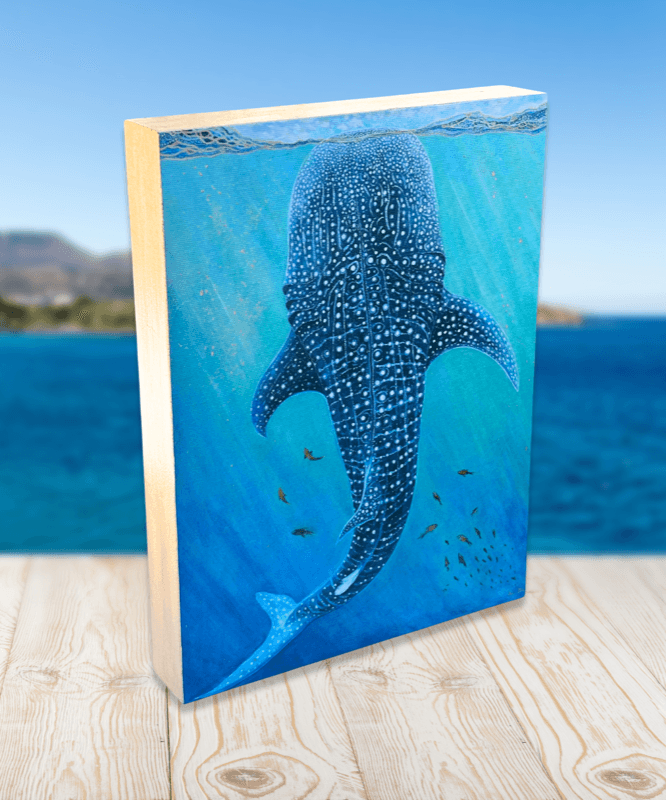Whale Shark