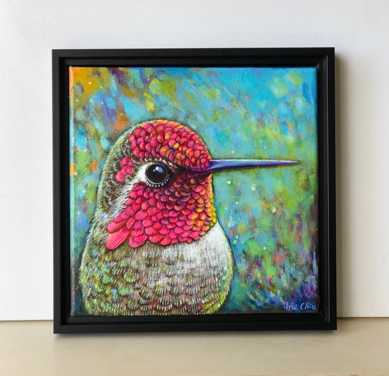 Anna's Hummingbird (male)