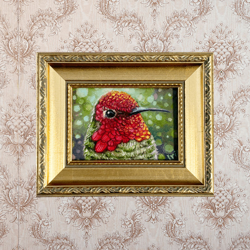 Anna's Hummingbird
