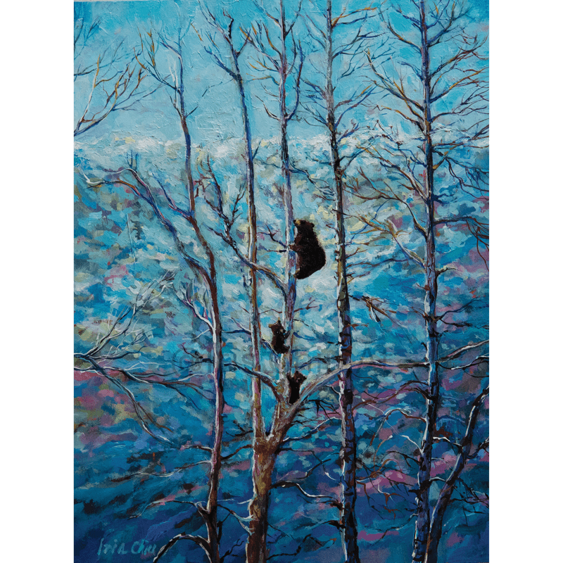 Climbers of the Quiet Forest