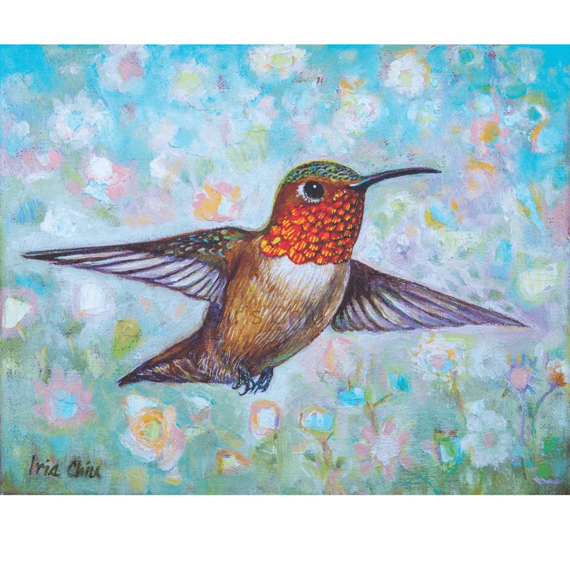 Male Allen's Hummingbird Flying