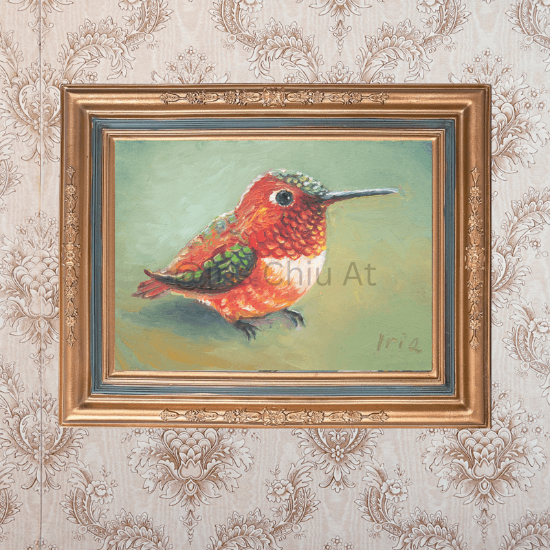 Male Rufous Hummingbird