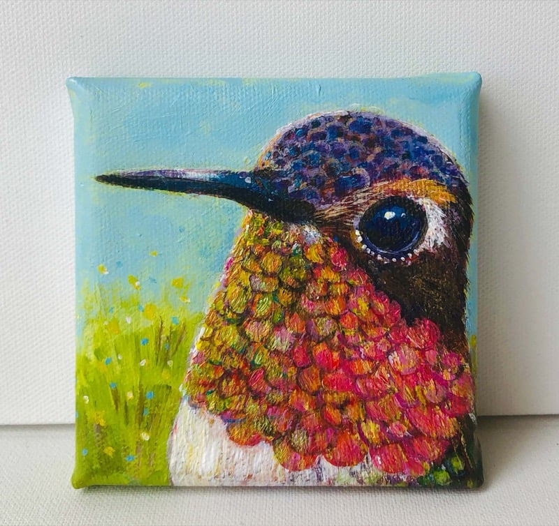 Mr. Hummingbird (Male)