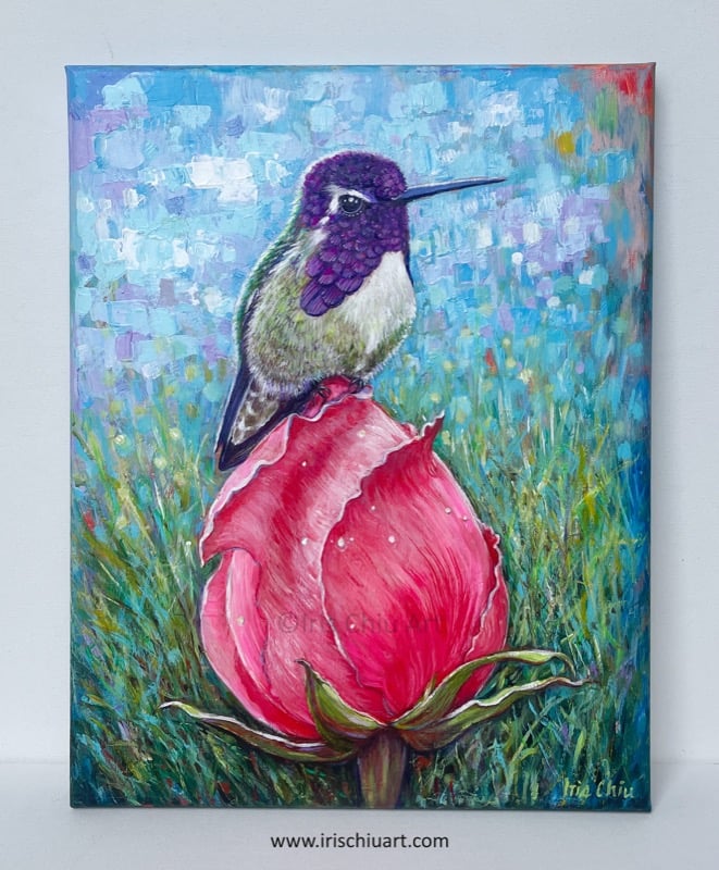 Rest and Smell The Rose - Costa's Hummingbird (male)