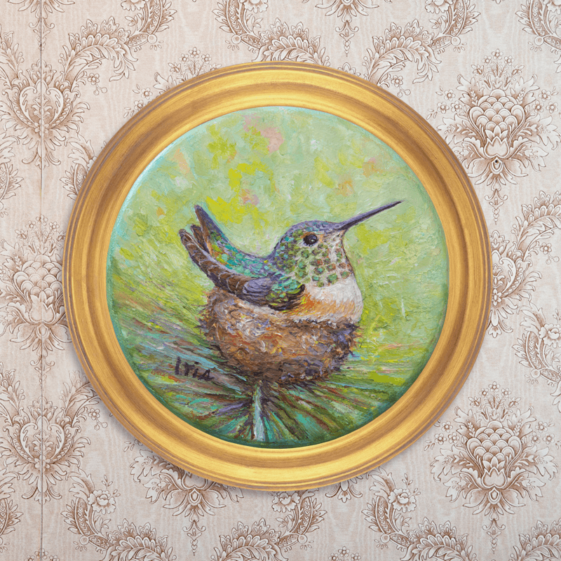 Rufous Hummingbird Mom