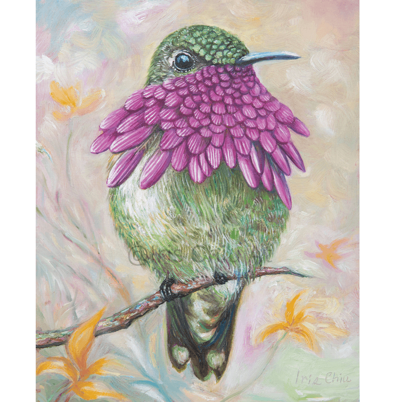 Wine-throated Hummingbird