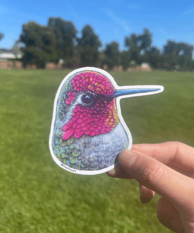 Fine Art Sticker - Anna Hummingbird