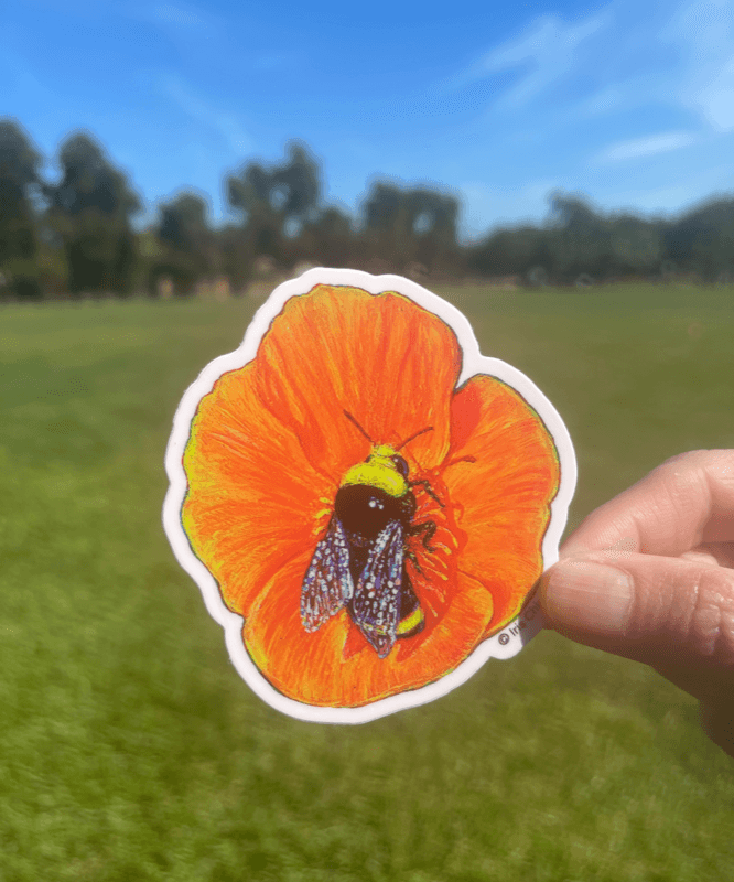 Fine Art Sticker - Bumblebee & Poppies