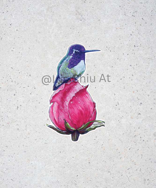 Fine Art Sticker - Hummingbird on Rose
