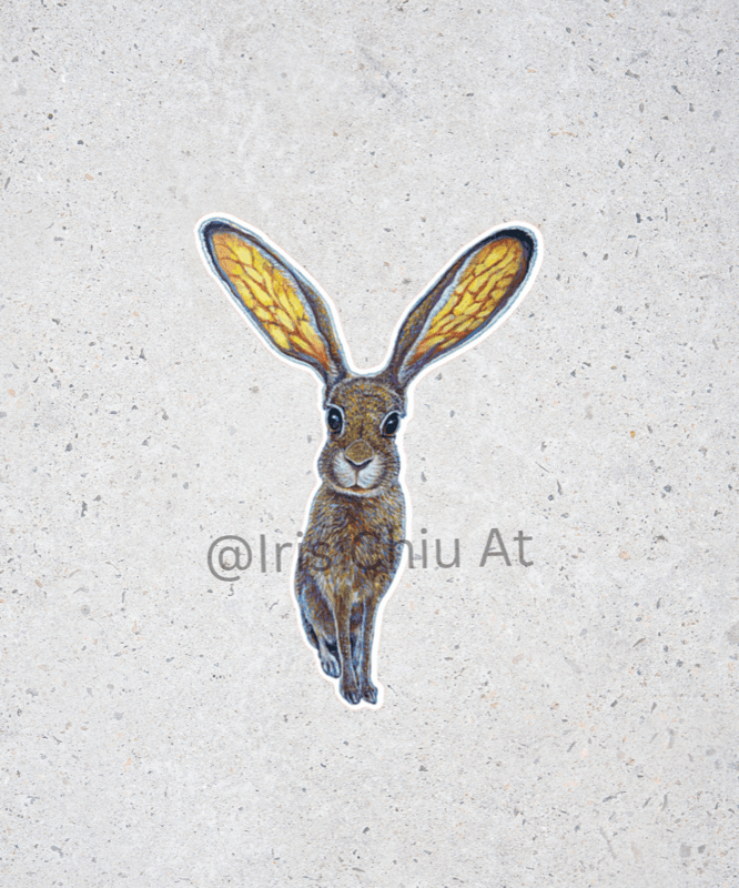 Fine Art Sticker - Jackrabbit