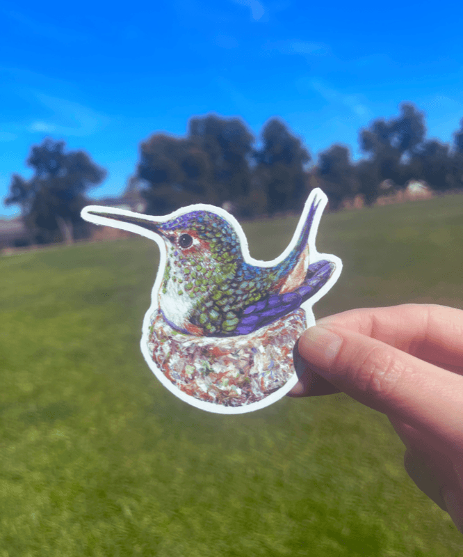 Fine Art Sticker - Lady Hummingbird