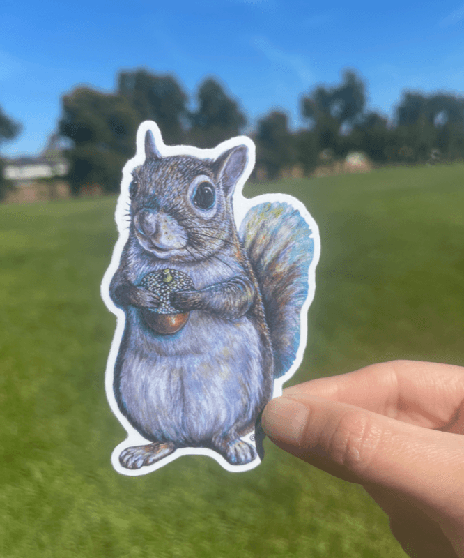 Fine Art Sticker - My Precious Acorn