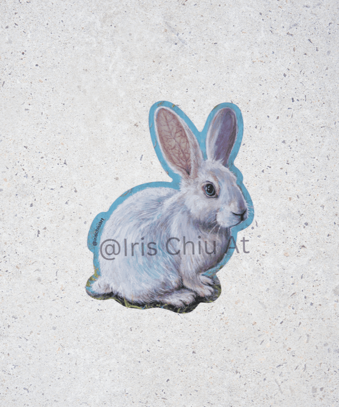 Fine Art Sticker - Rabbit in the Sunshine