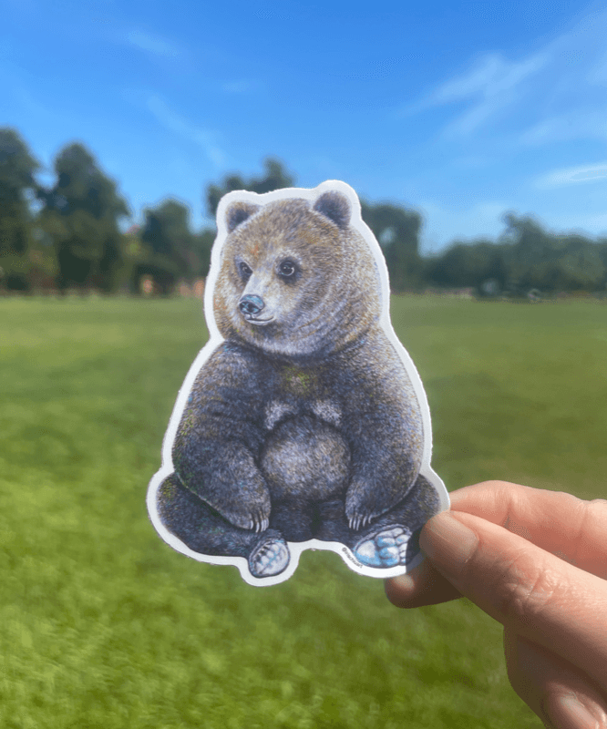 Fine Art Sticker - Tahoe Bear