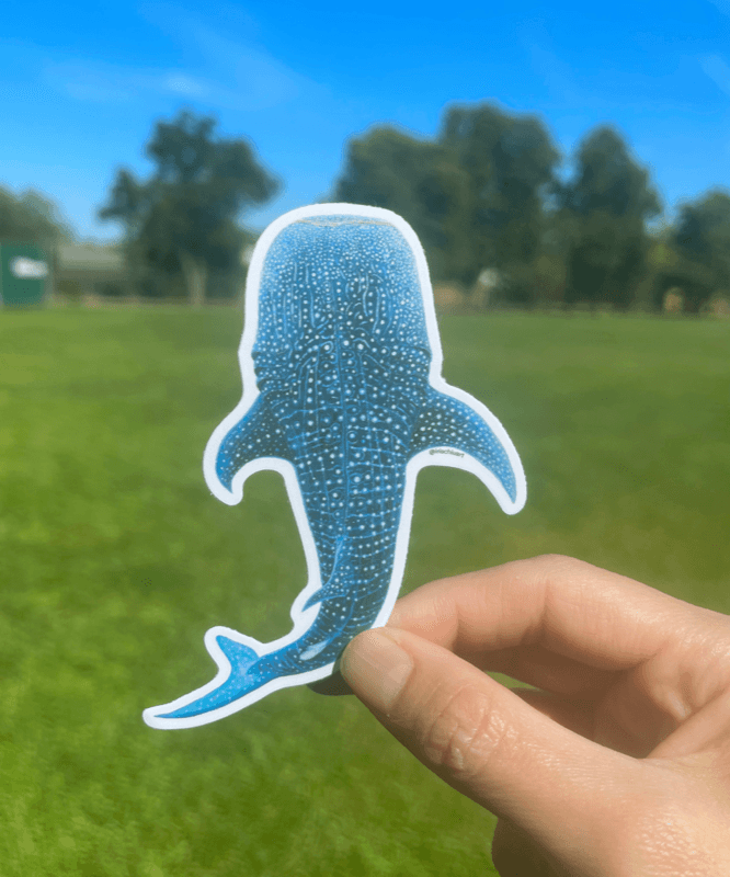 Fine Art Sticker - Whale Shark