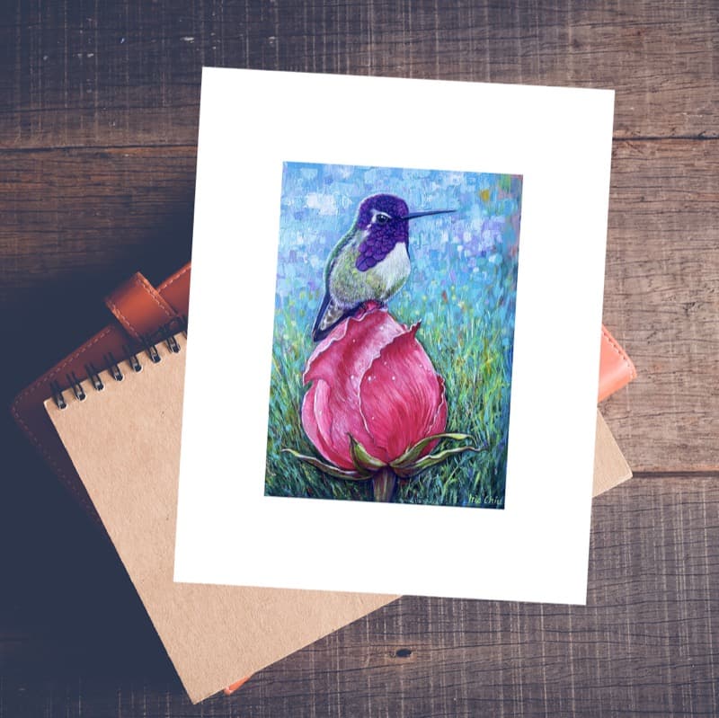 Hummingbird on Rose - Giclée Print