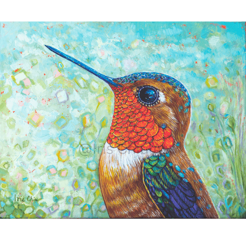 Allen's Hummingbird (Male) Portrait