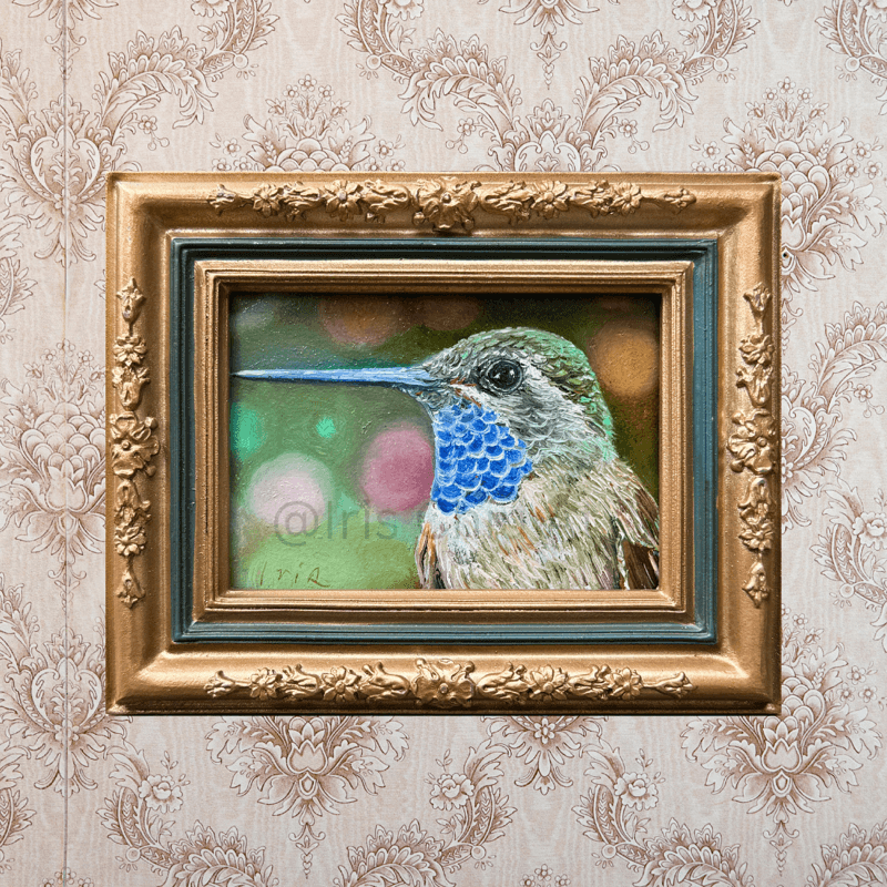 Blue-throated hummingbird