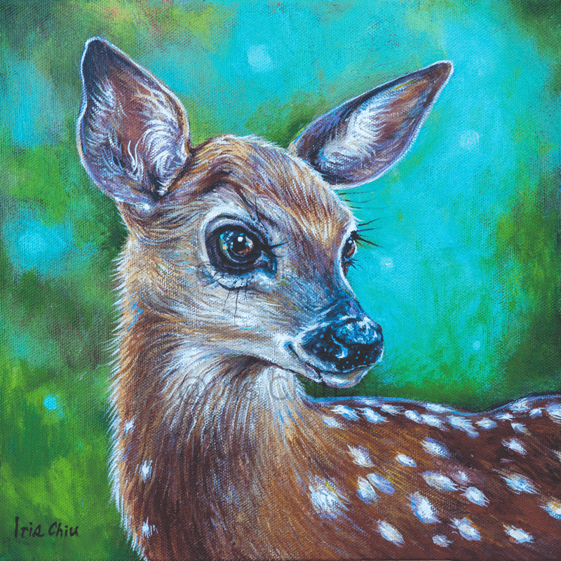 Deer Portrait