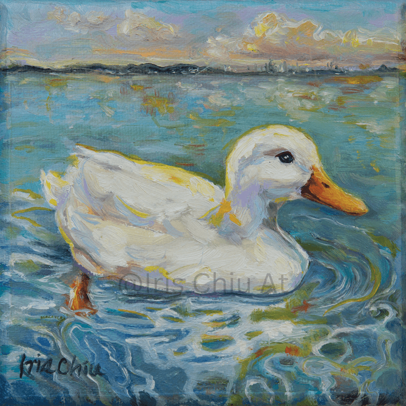 Duck in the Pond