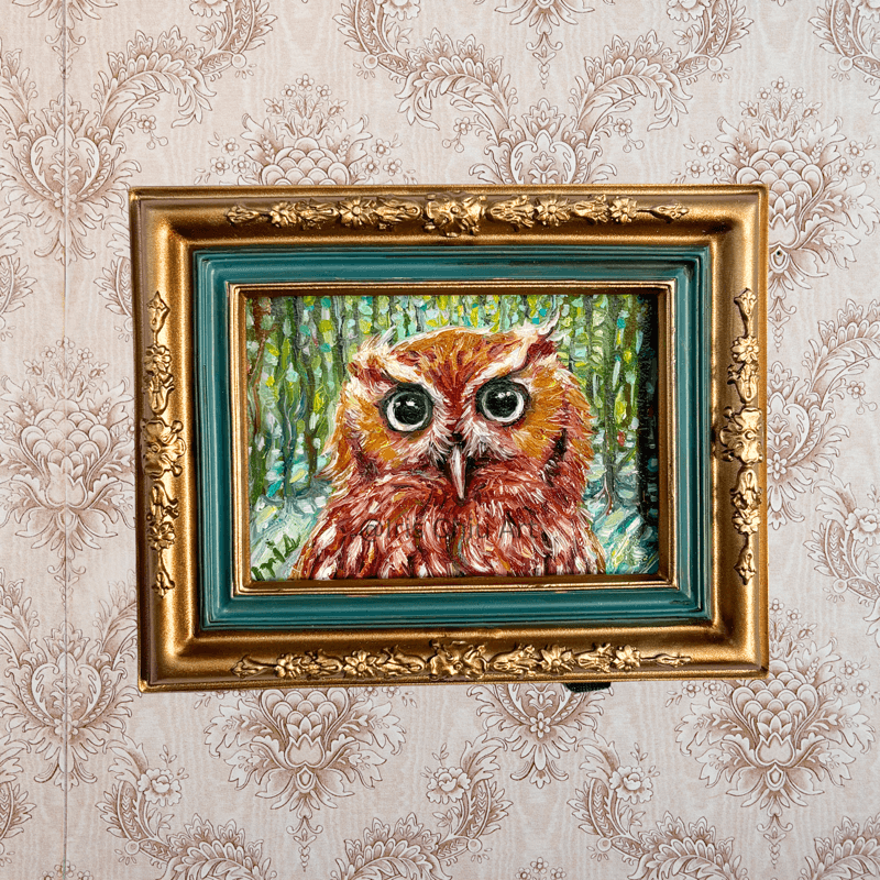 Flammulated Owl