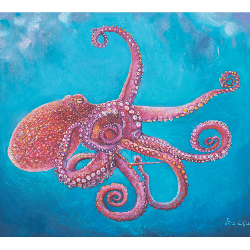 Octopus in the Ocean