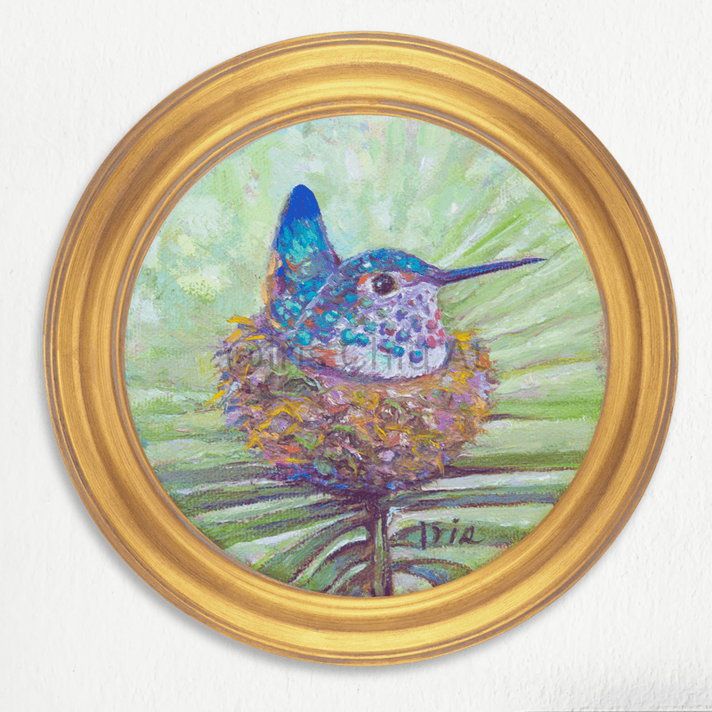 Rufous Hummingbird Lady
