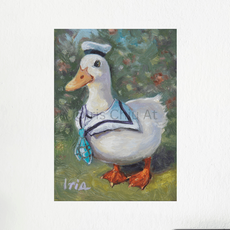 Sailor Duck