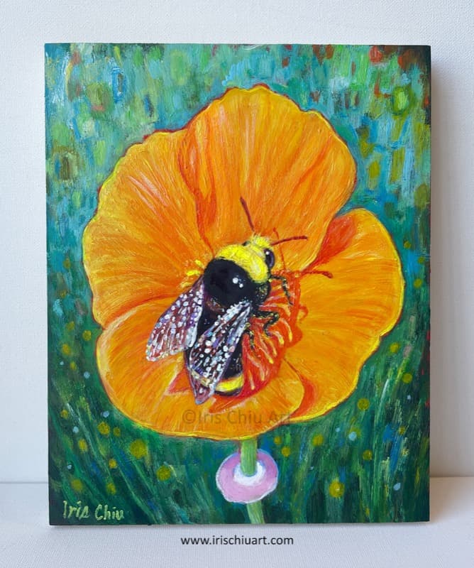 Yellow-faced Bumblebee on California Poppy